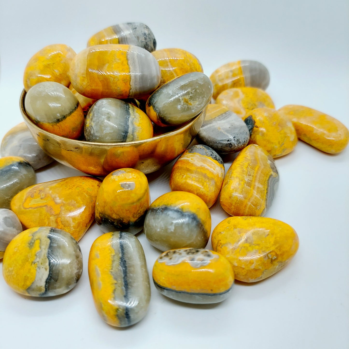 Bumblebee Jasper