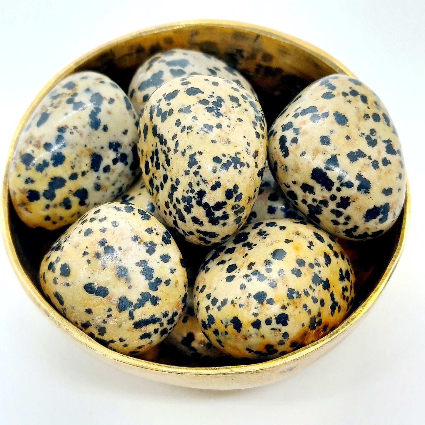 Dalmatian Jasper
