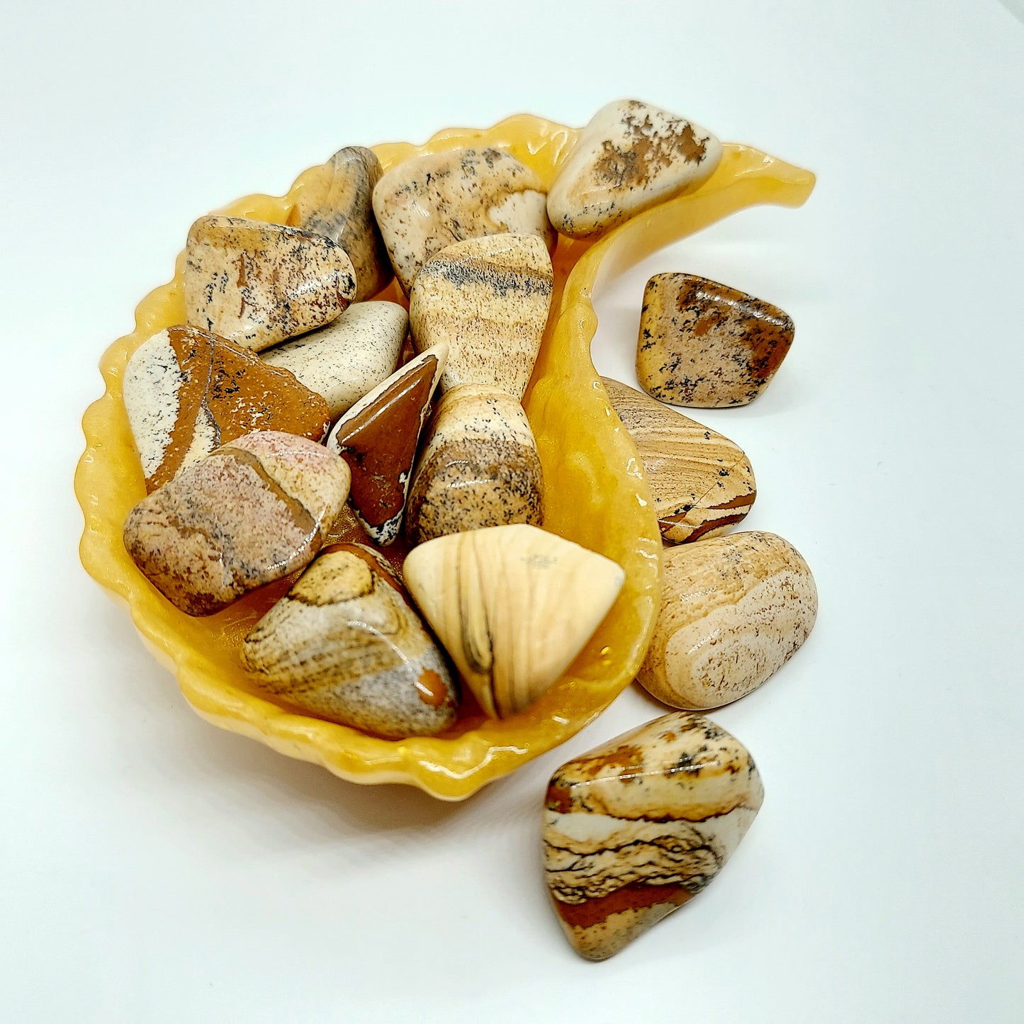 Picture Jasper