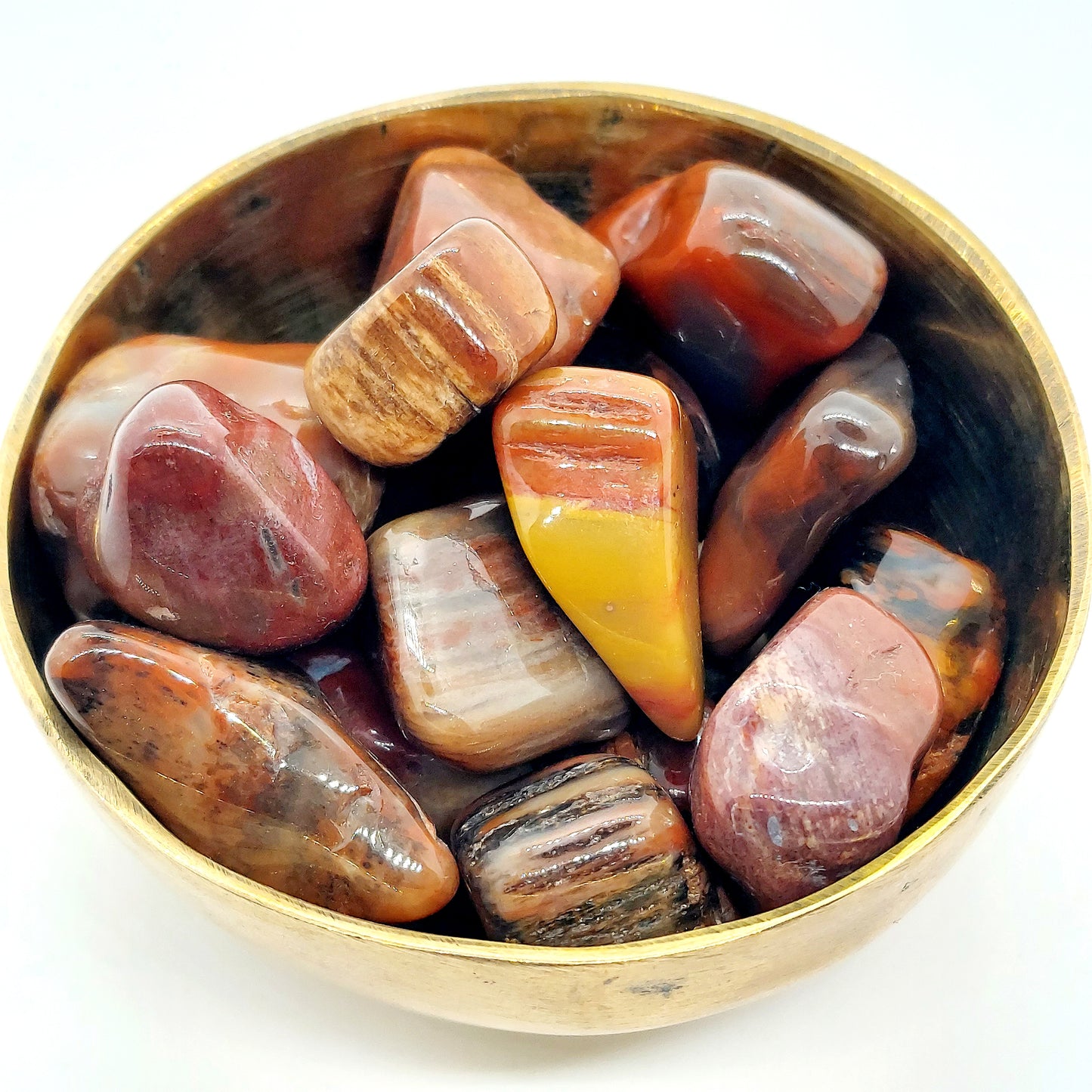 Petrified Wood