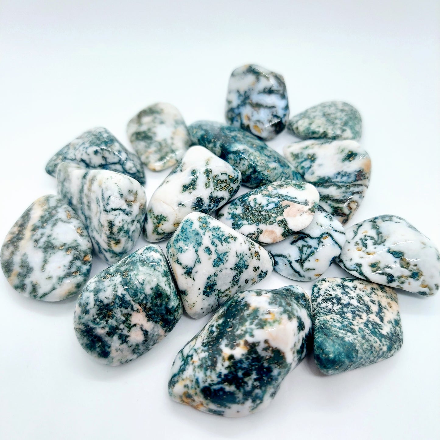 Tree Agate