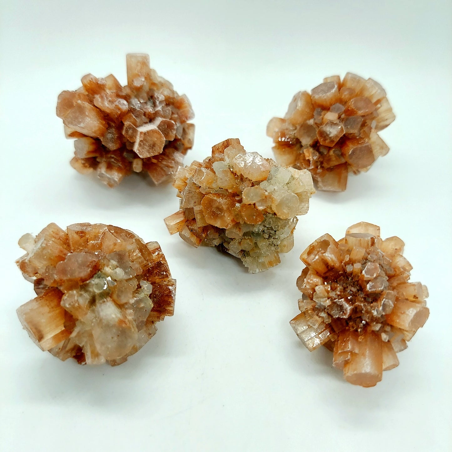 Aragonite Star Cluster