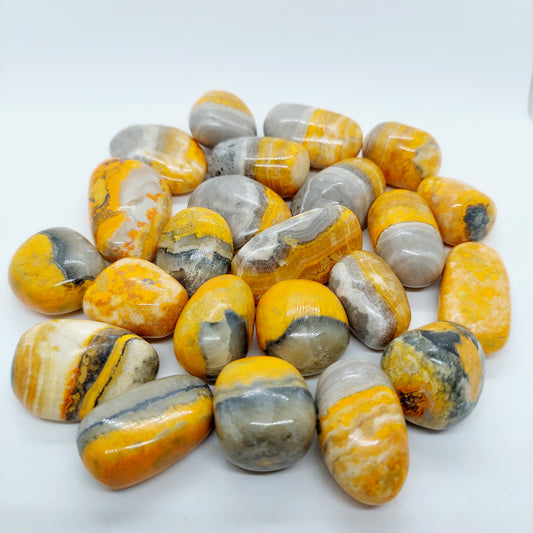 Bumblebee Jasper