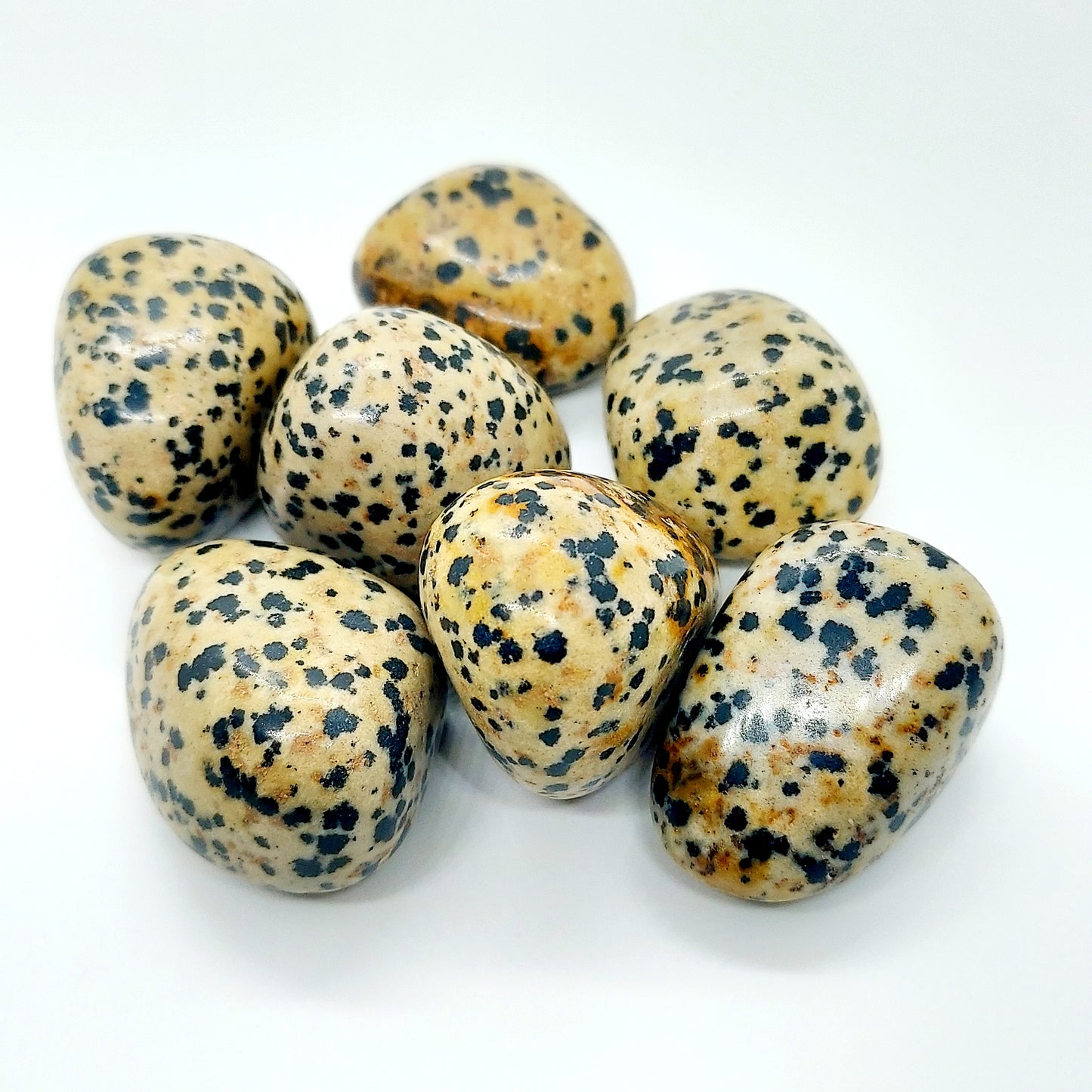 Dalmatian Jasper