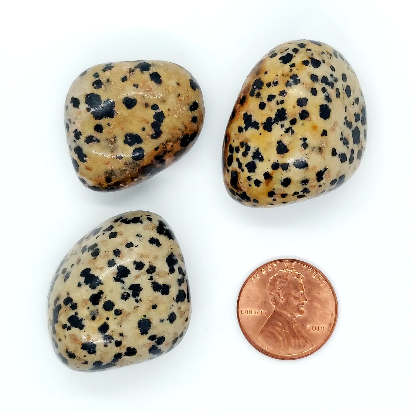 Dalmatian Jasper