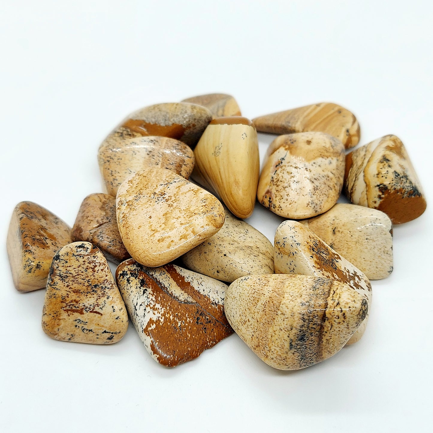 Picture Jasper