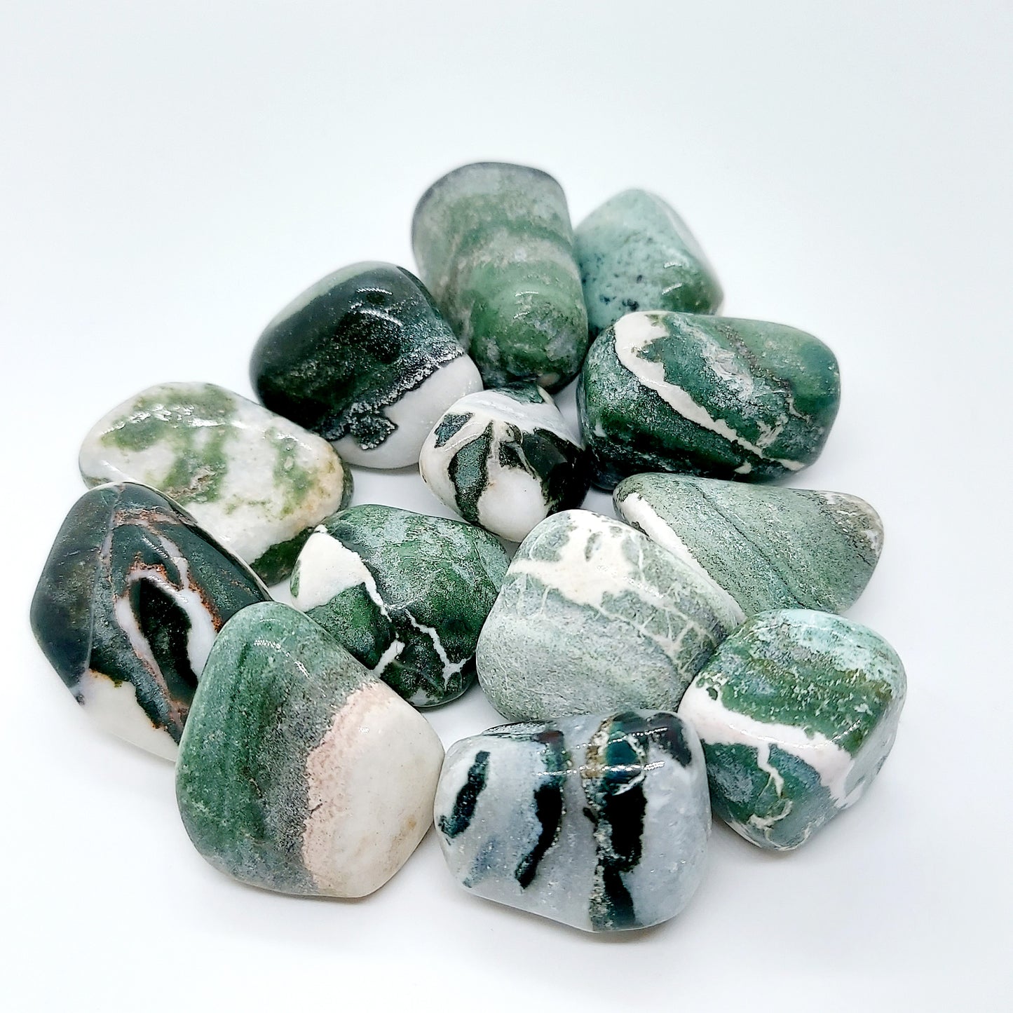 Rhyolite Rainforest Jasper
