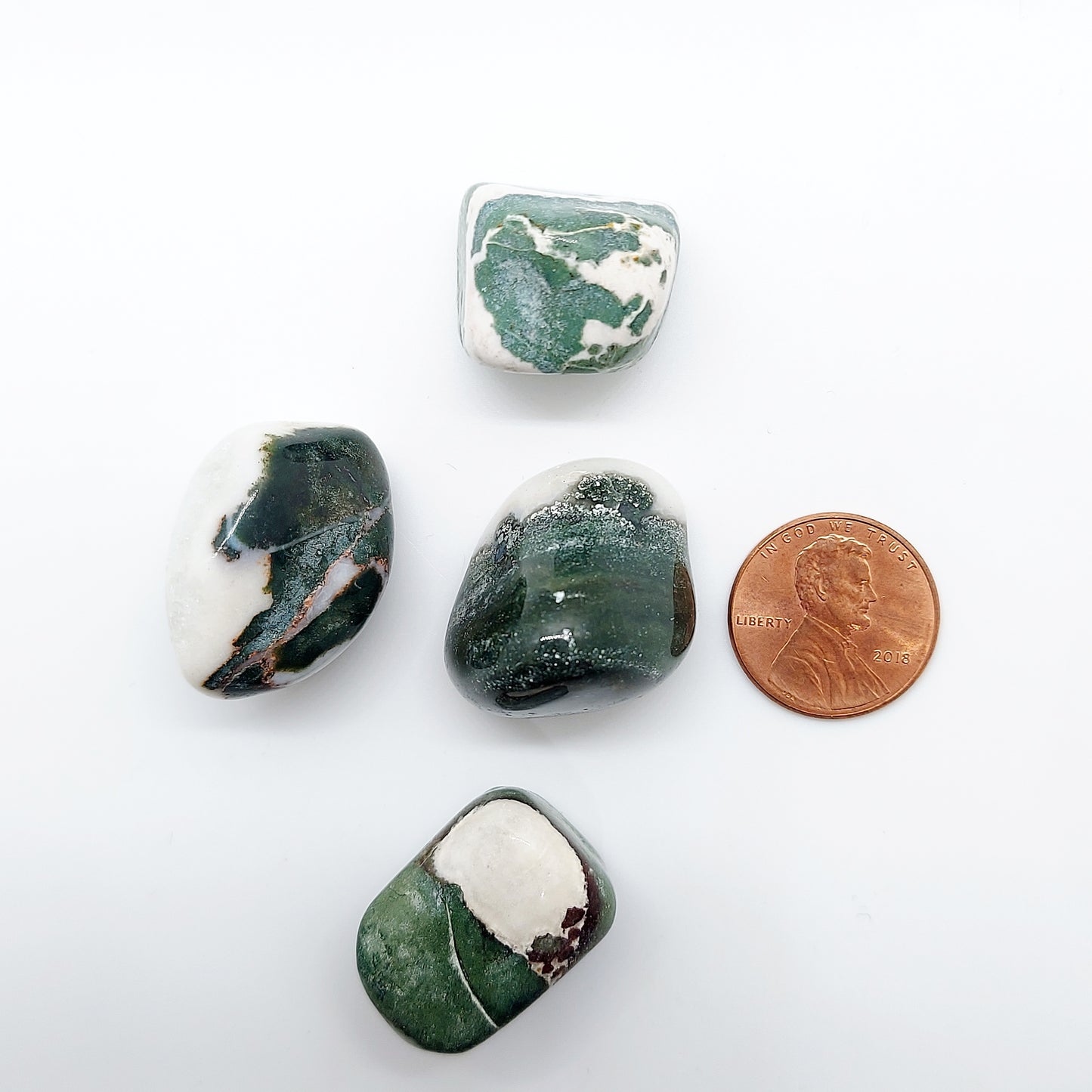 Rhyolite Rainforest Jasper