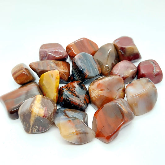 Petrified Wood