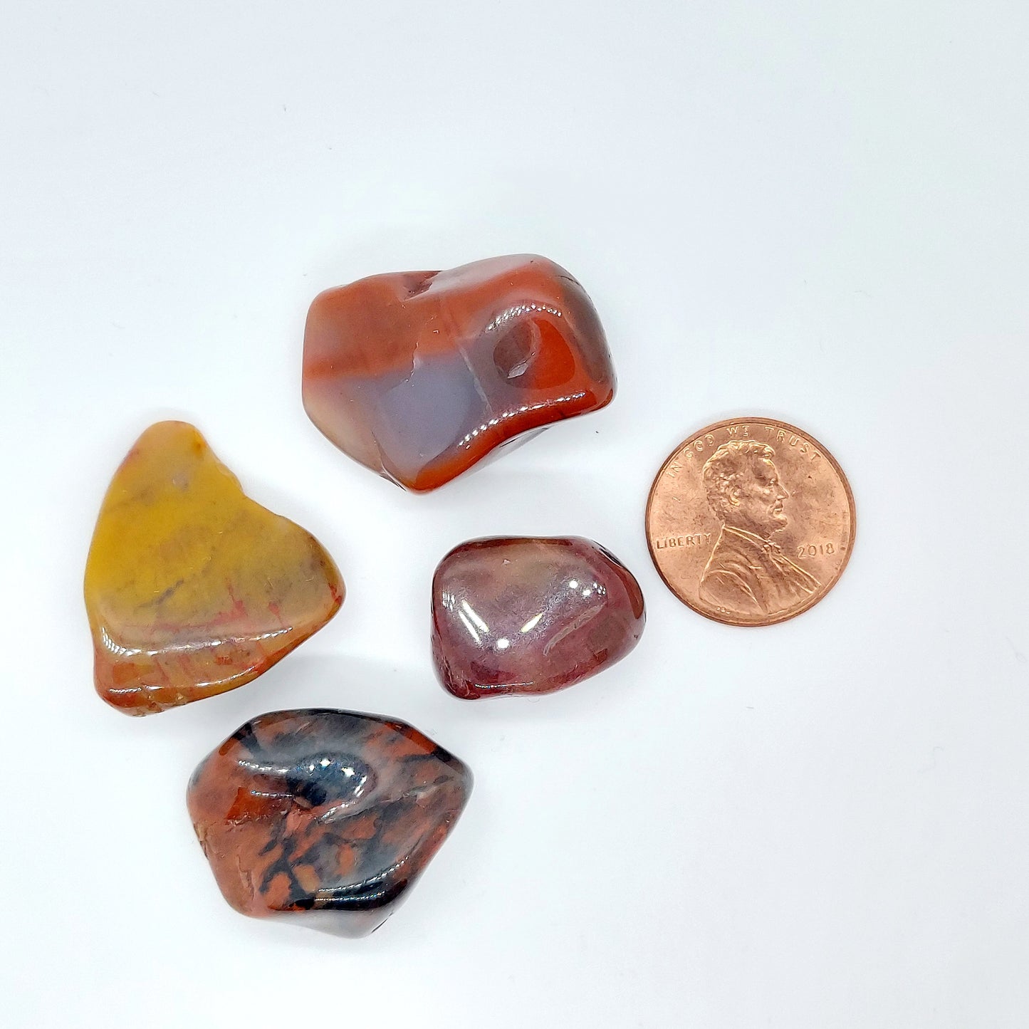 Petrified Wood